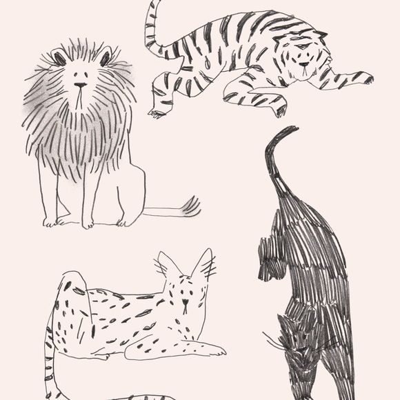 Introduction Listing - Picture 1 of 1